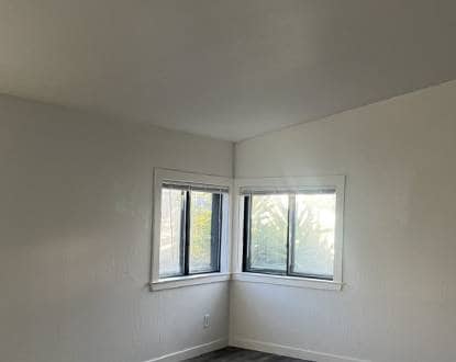 PAINTING SERVICES